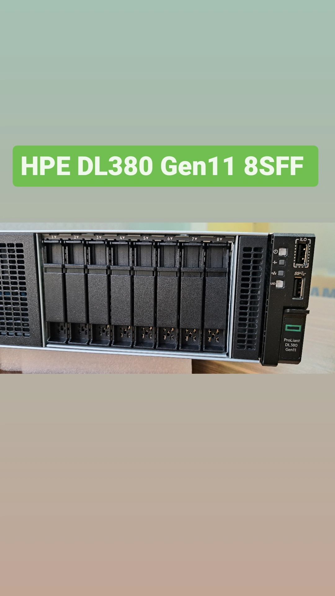 HPE DL380 Gen11 5415  MR408i-o NC 8SFF Server (1000W)