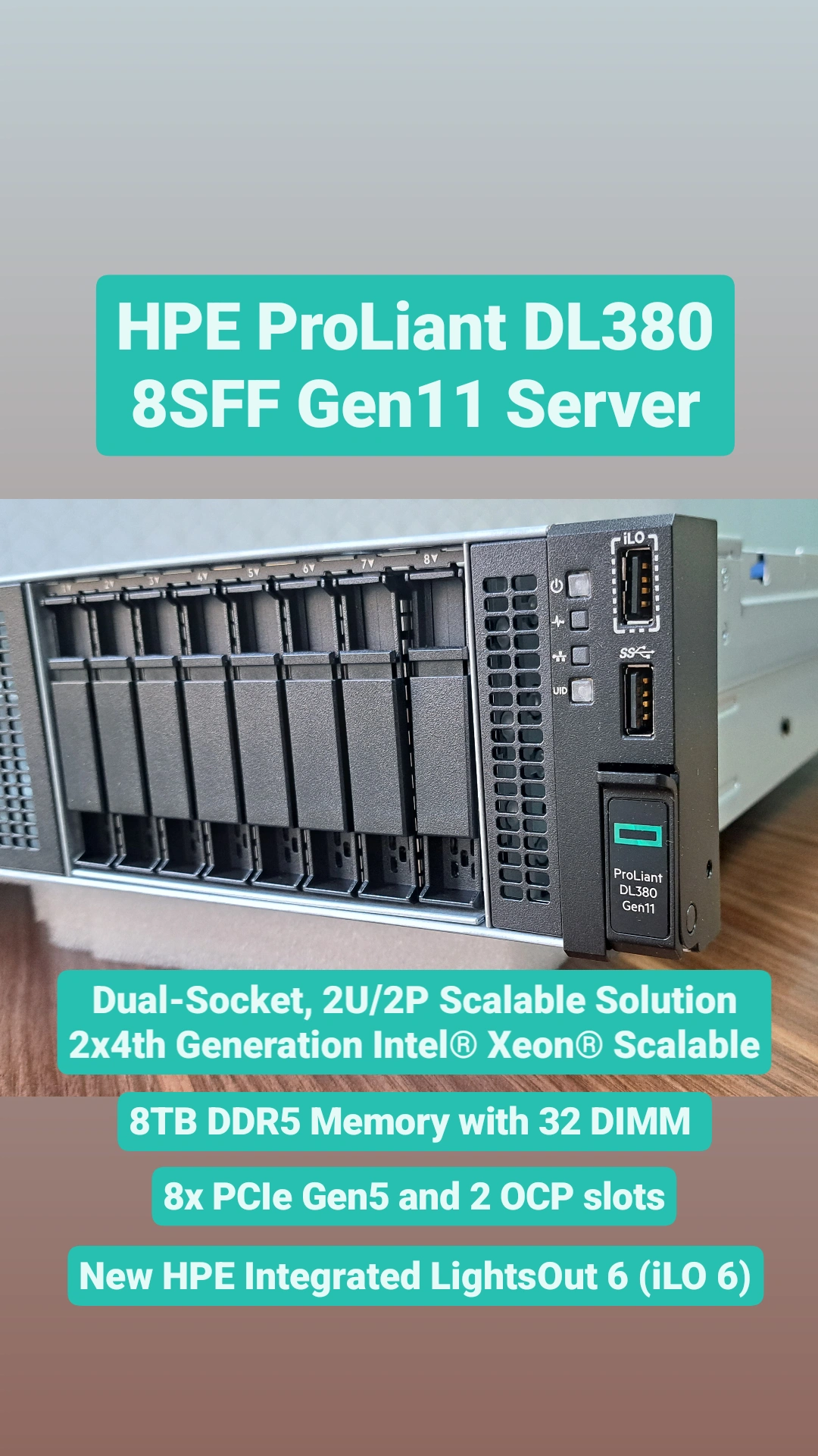 HPE DL380 Gen11 5416S MR408i-o NC 8SFF Server (800W)
